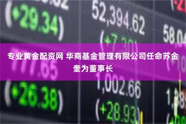 专业黄金配资网 华商基金管理有限公司任命苏金奎为董事长