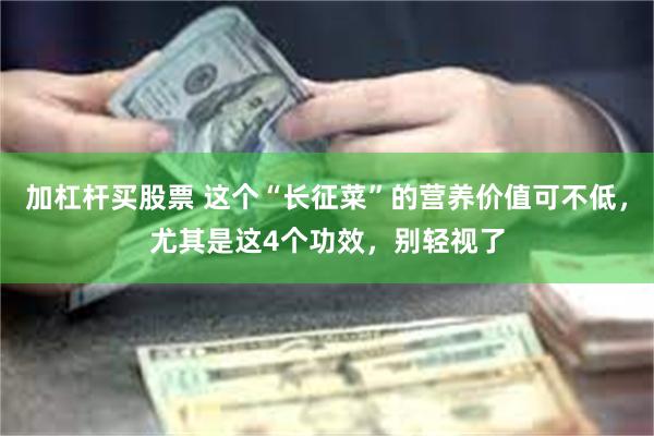 加杠杆买股票 这个“长征菜”的营养价值可不低，尤其是这4个功效，别轻视了