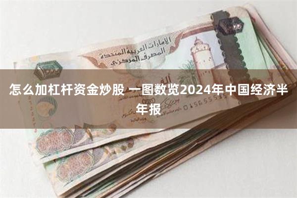 怎么加杠杆资金炒股 一图数览2024年中国经济半年报