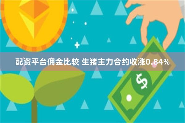 配资平台佣金比较 生猪主力合约收涨0.84%