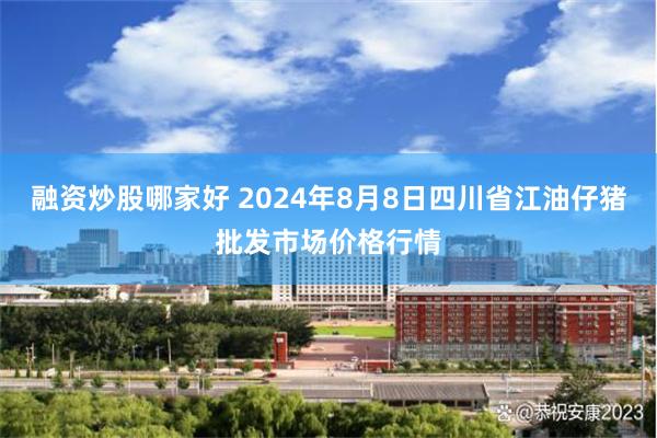 融资炒股哪家好 2024年8月8日四川省江油仔猪批发市场价格行情