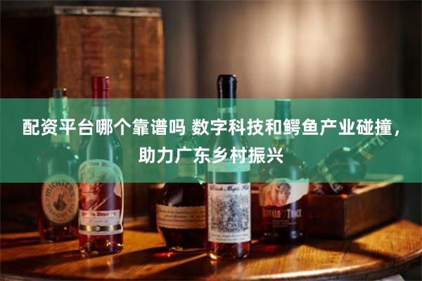 配资平台哪个靠谱吗 数字科技和鳄鱼产业碰撞，助力广东乡村振兴