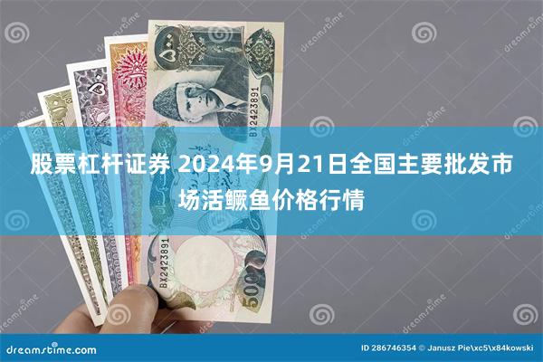 股票杠杆证券 2024年9月21日全国主要批发市场活鳜鱼价格行情