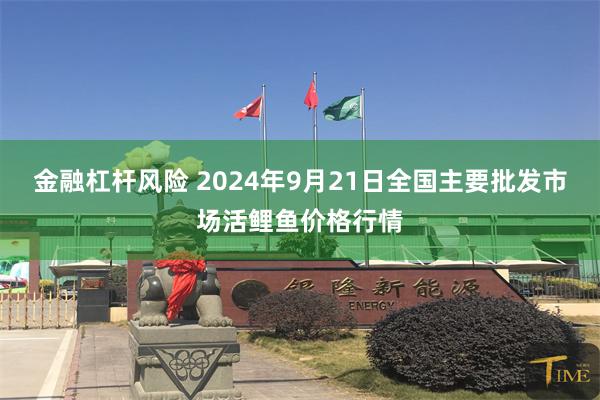 金融杠杆风险 2024年9月21日全国主要批发市场活鲤鱼价格行情