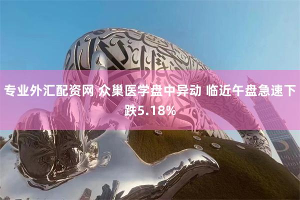 专业外汇配资网 众巢医学盘中异动 临近午盘急速下跌5.18%