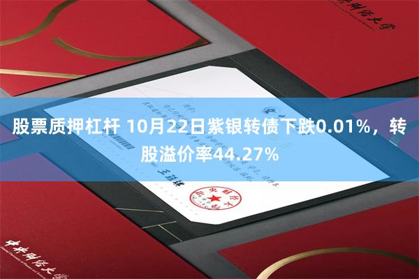 股票质押杠杆 10月22日紫银转债下跌0.01%，转股溢价率44.27%