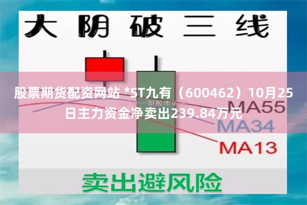 股票期货配资网站 *ST九有（600462）10月25日主力资金净卖出239.84万元