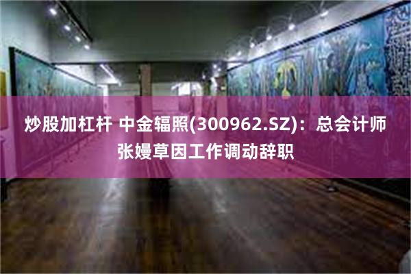 炒股加杠杆 中金辐照(300962.SZ)：总会计师张嫚草因工作调动辞职