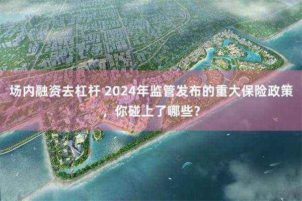 场内融资去杠杆 2024年监管发布的重大保险政策，你碰上了哪些？